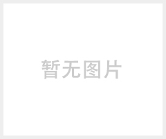 皮带输送机, 小型皮带输送机, 皮带流水线